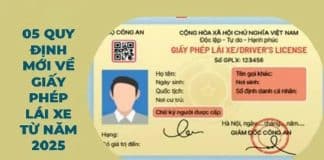 05 quy định mới về giấy phép lái xe từ ngày 1/1/2025 người dân cần phải biết 05 quy định mới về giấy phép lái xe từ ngày 1.1.2025